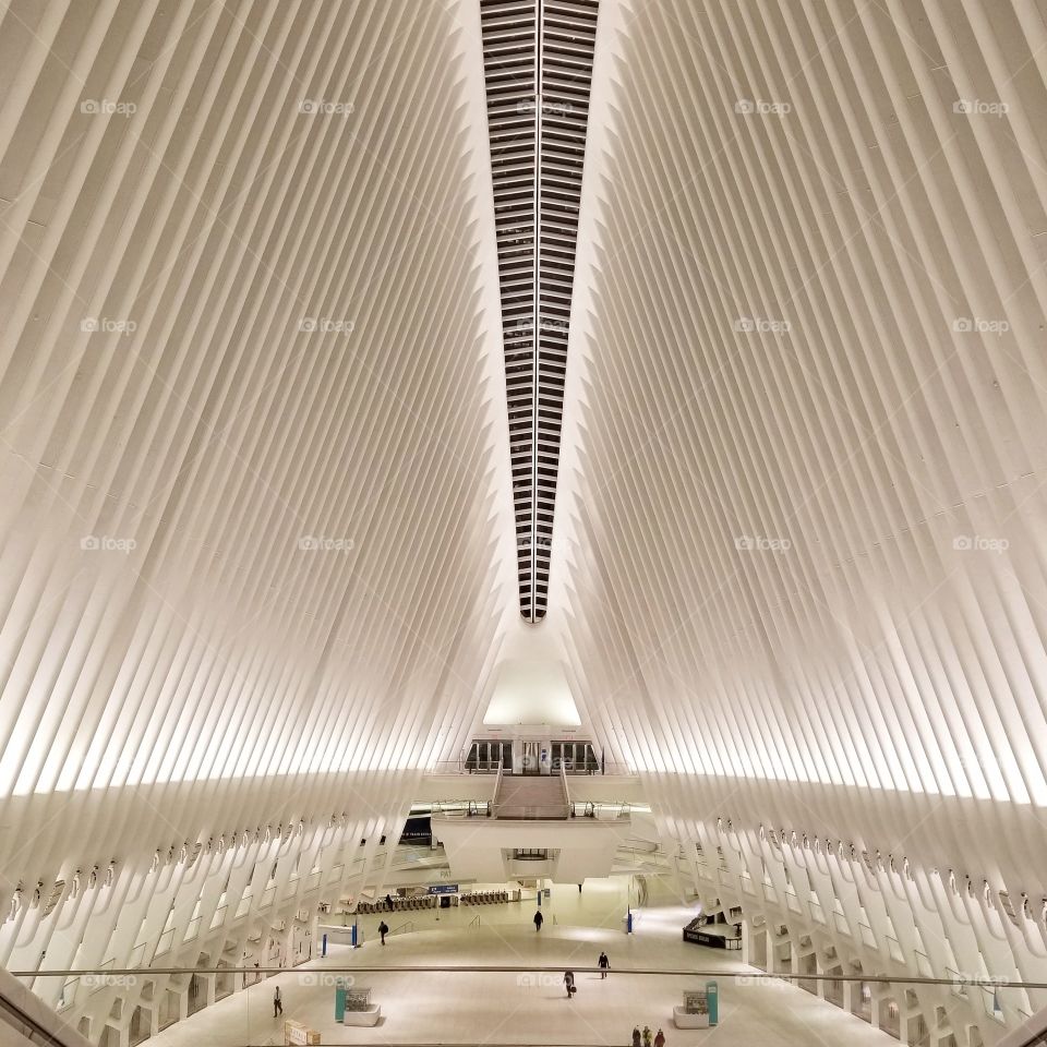 Early morning in the oculus