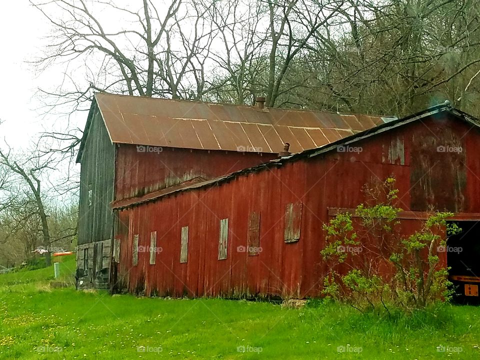 Driving the back Roads and enjoying everything around us