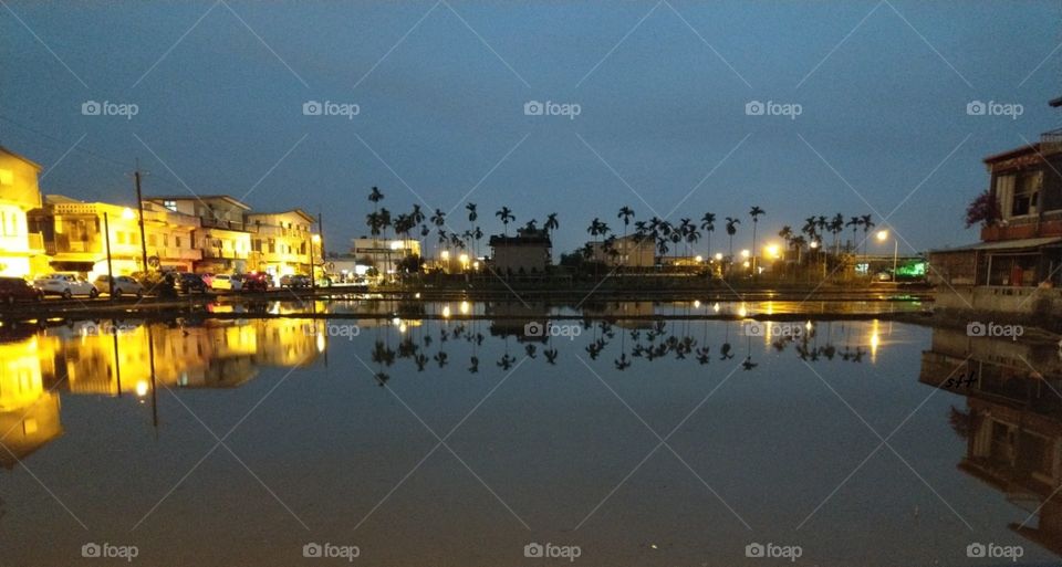 The night scene for a water field at countryside had a beautiful reflection, the palm tree's and the lamps, houses. the picture is moving for me.