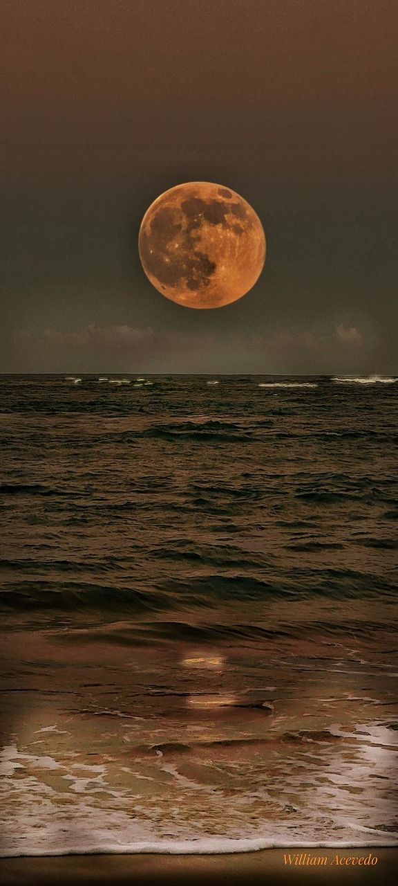 The wonders of Nature