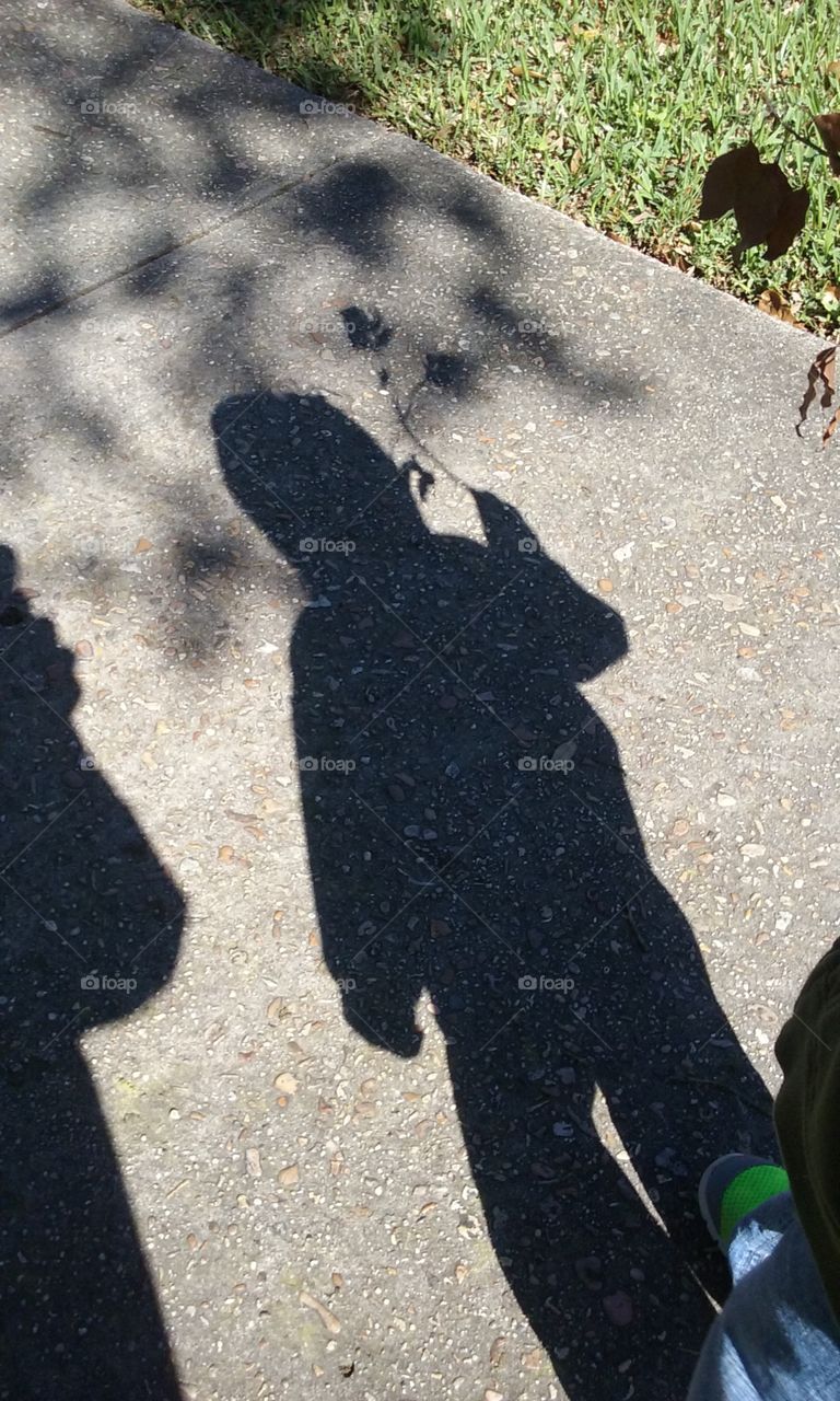 Shadow. Shadow in the sun light.