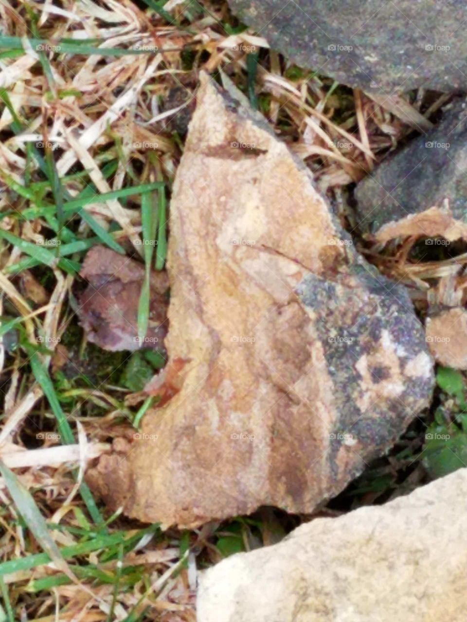 What can we Really see in a Rock