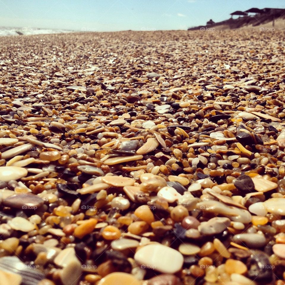 Sea shells and beach pebbles 