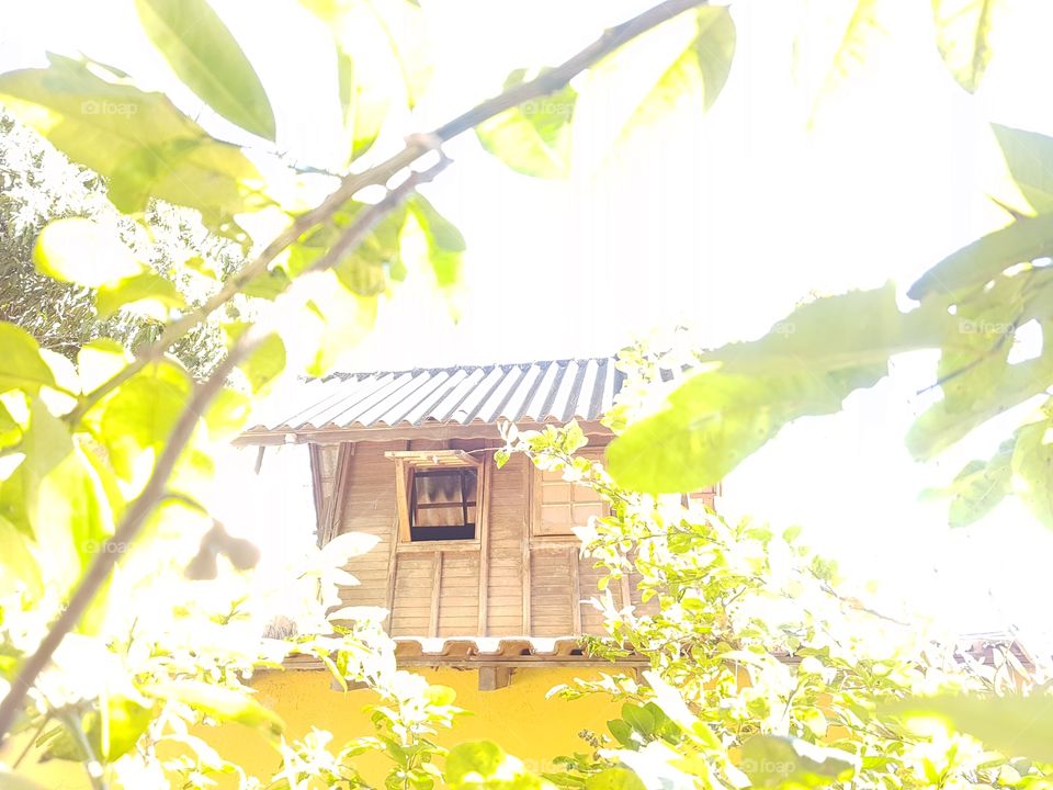 Férias é tranquilidade e sossego