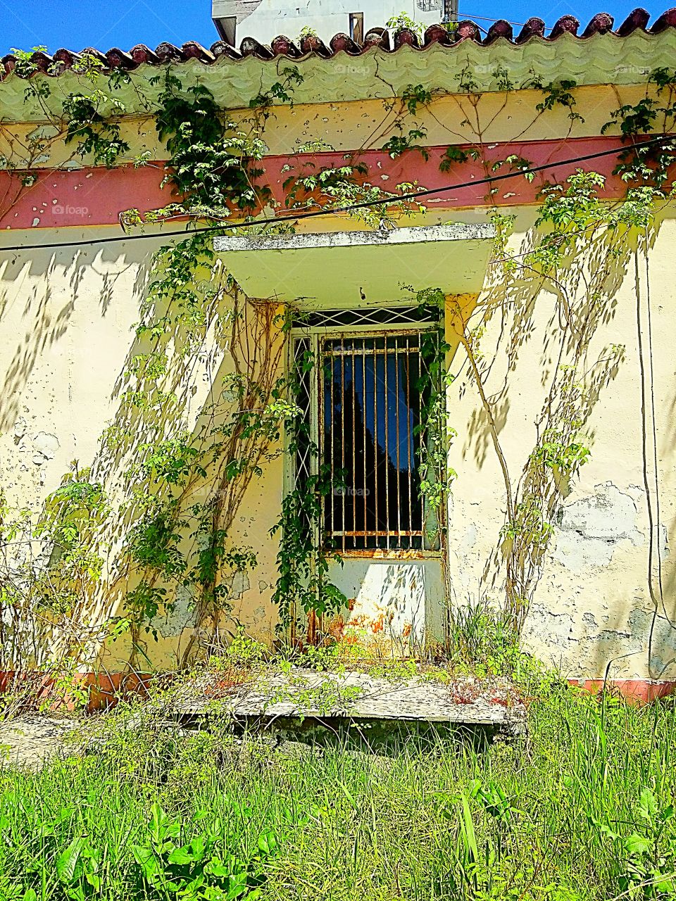 Abandoned house exterior