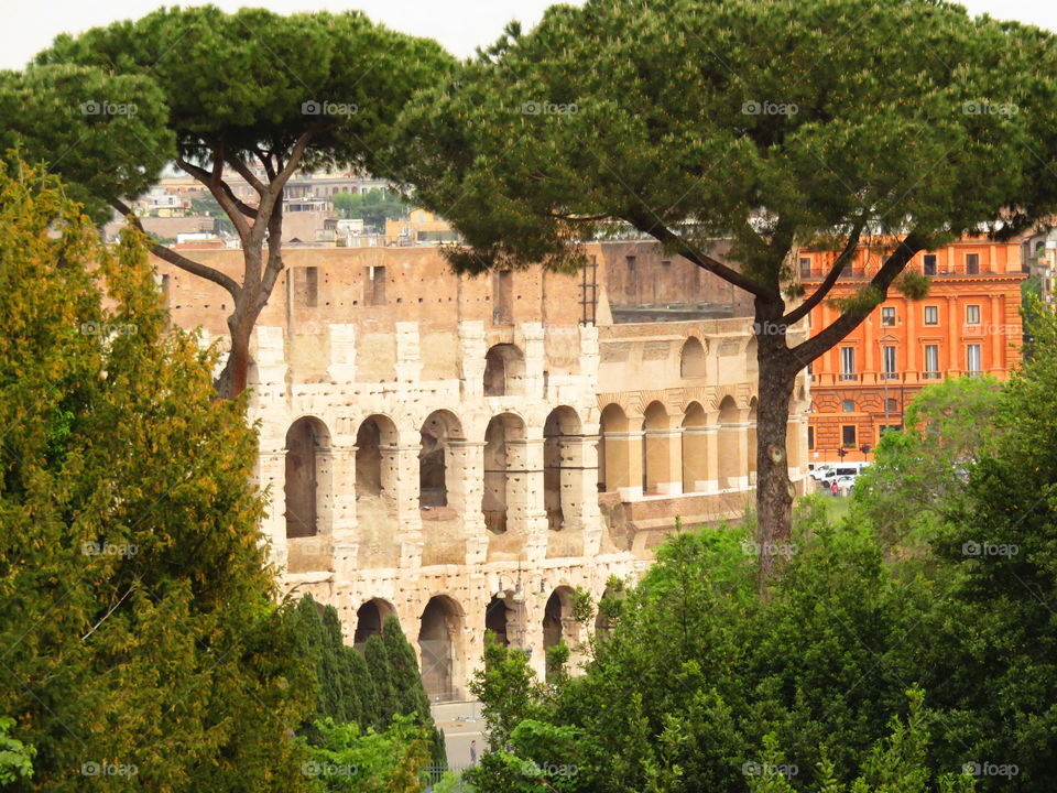 view of the Colosseum Rome Italy