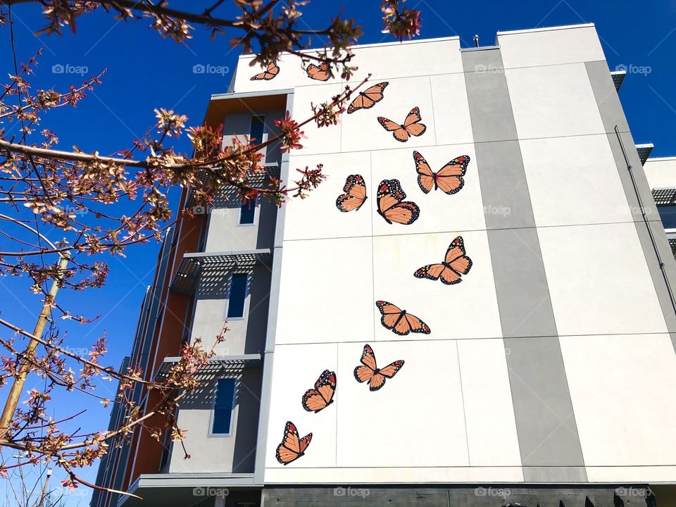 Building with 13 mosaic butterflies 