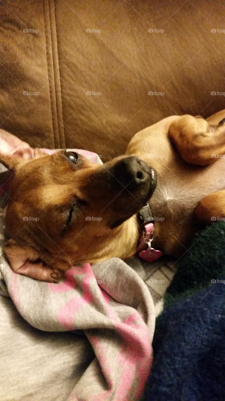 I've got one eye open! I'm watching you!