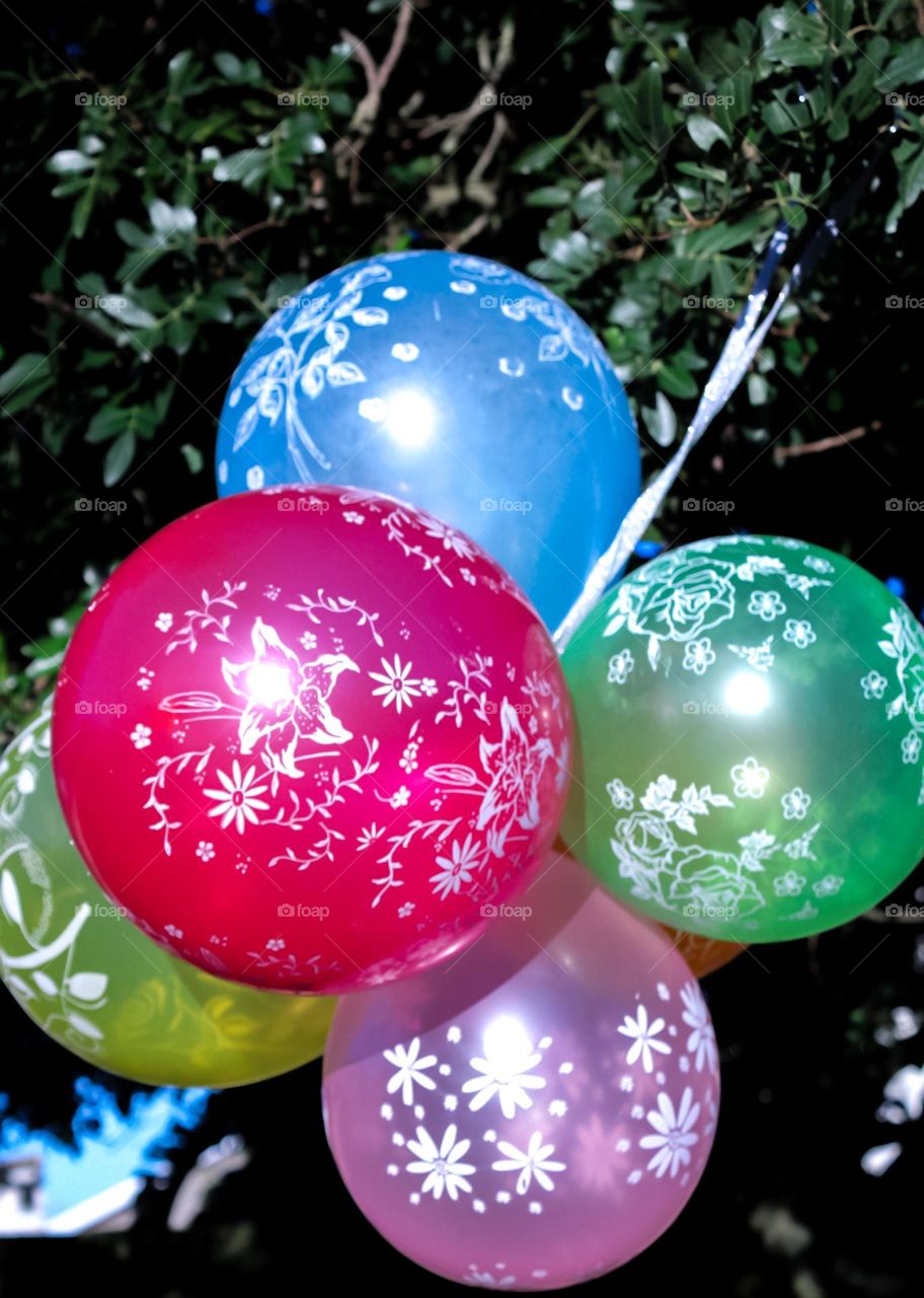 Colorful balloons on a tree