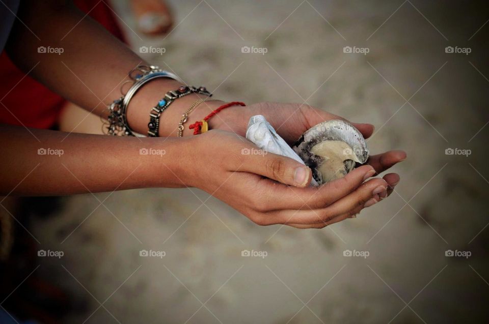 Collecting shells on beach.