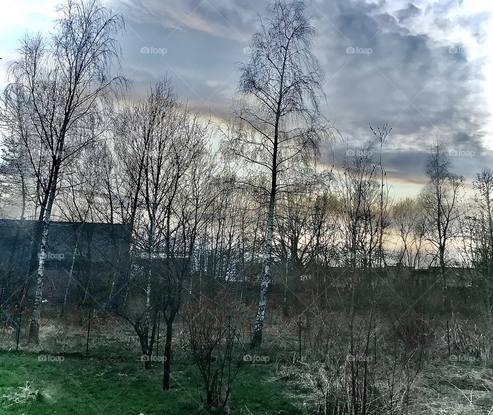 Spring
