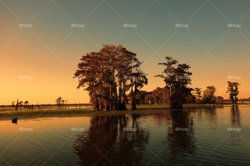 Louisiana bayou and cypress trees. Bayou and cypress trees near Henderson, Louisiana. Part of the Atchafalaya basin.