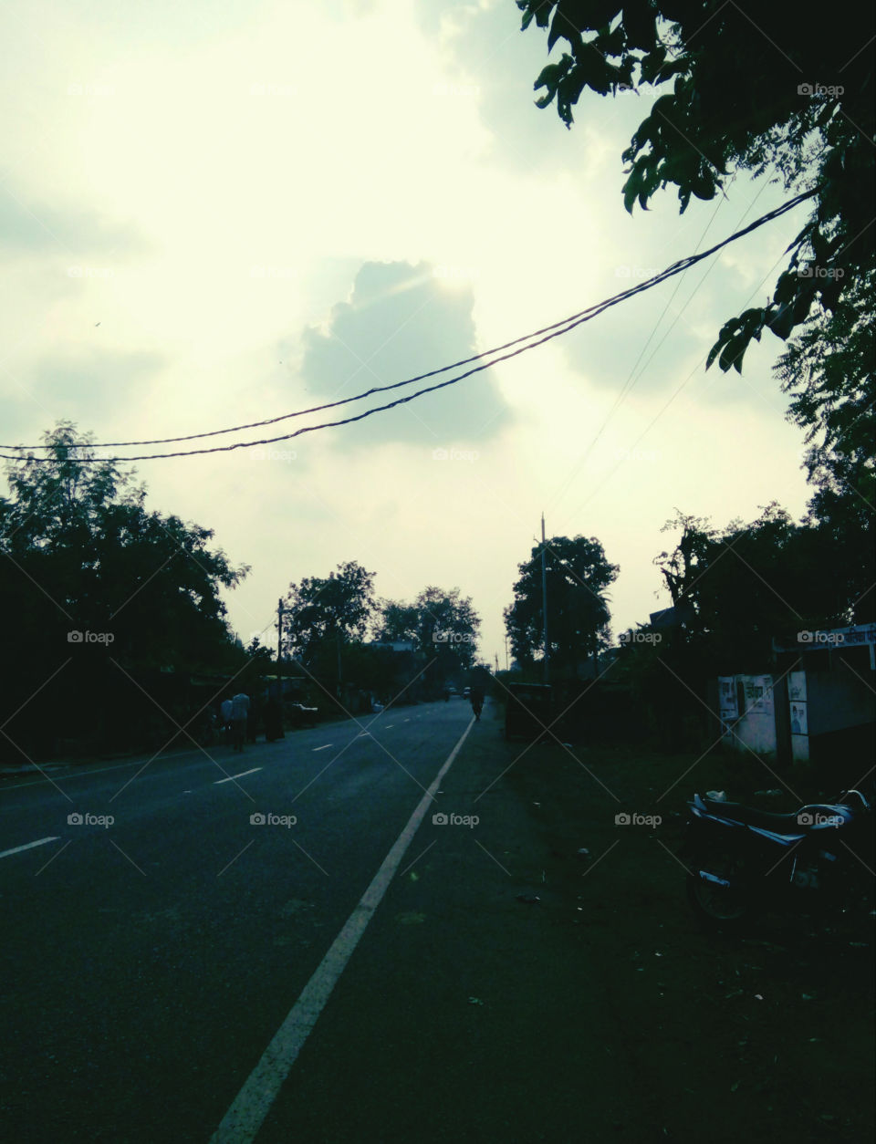 very best photo,real photo of evening,a one photo of evening,Great photos of the weather,beautiful photos of the setting sun,good photos of an evening,a special photo for you,a photo to see,the best photos,a great photo to be liked by all