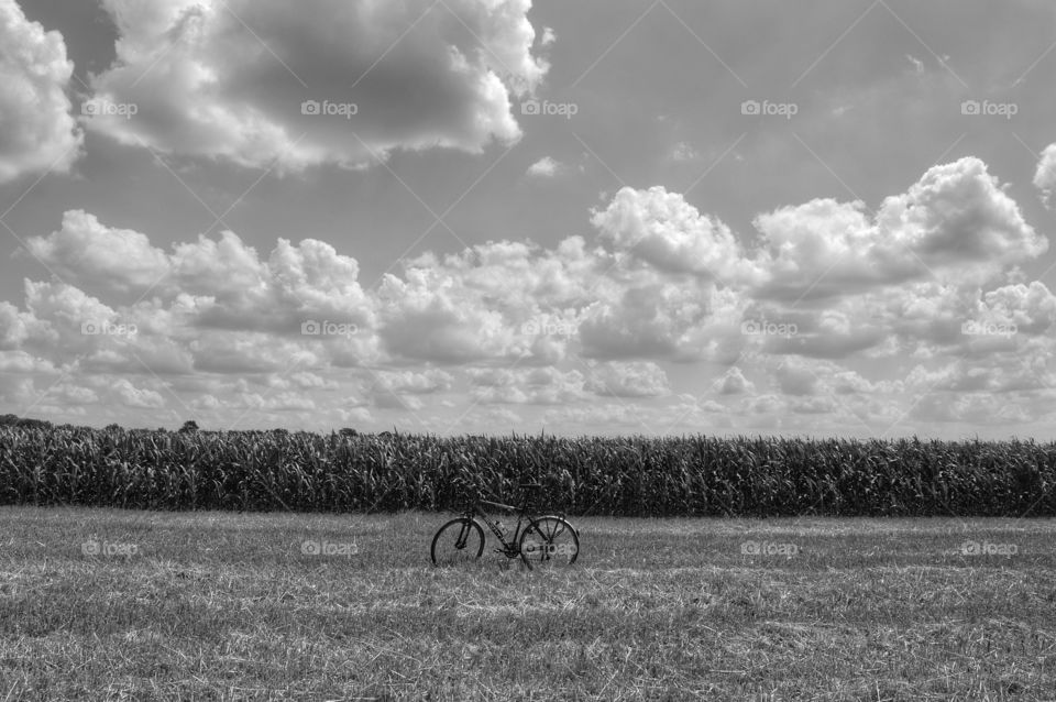 Landscape, Agriculture, Field, Farm, Rural