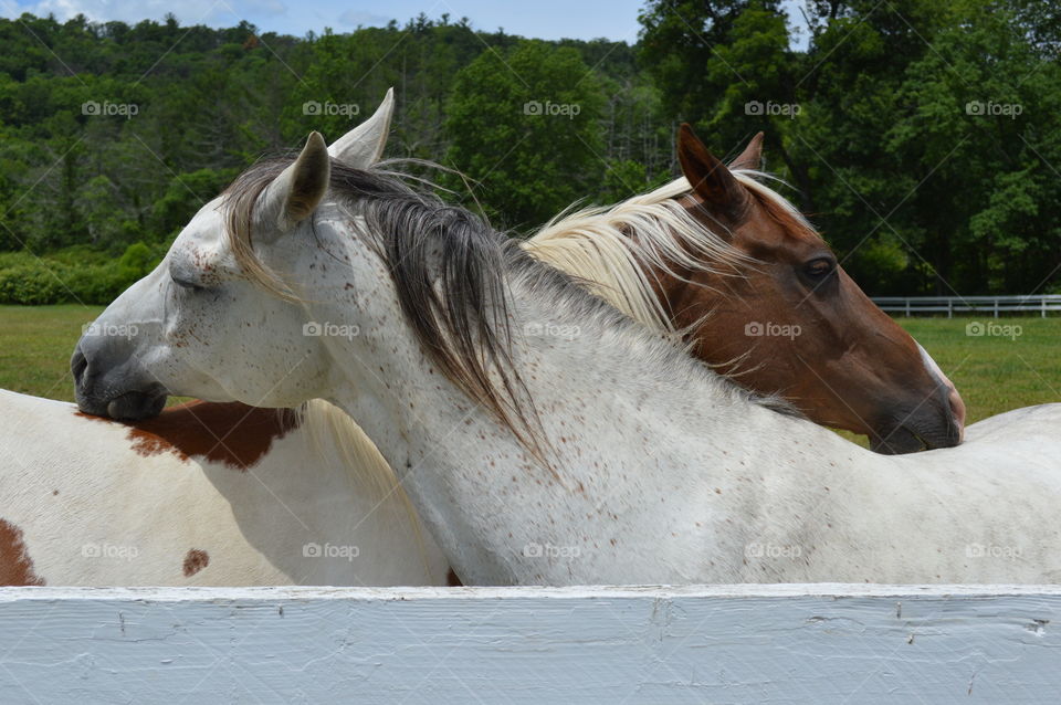 You scratch mine and I'll scratch yours