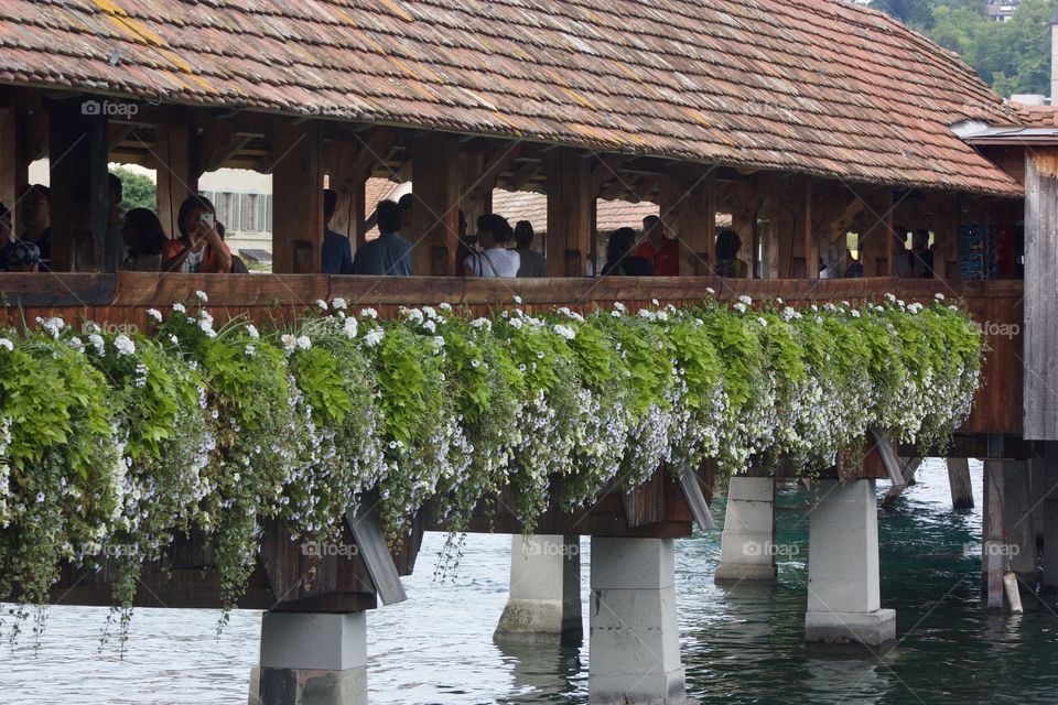Kapellbrücke Lucerne