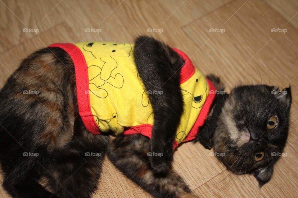 enjoying time at home