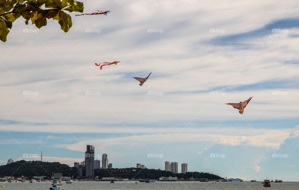 Multi Camouflage Stunt Kites Wind Dragons at the Beach in Pattaya District Chonburi Thailand Southeast Asia