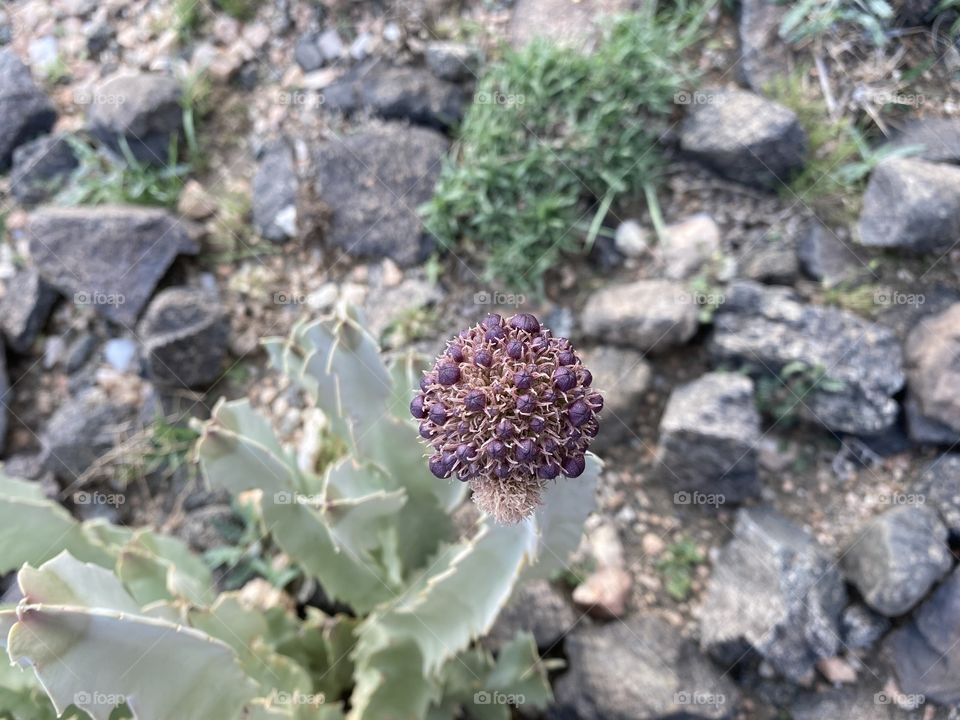 amazing trip with my family in the eid , city taif 