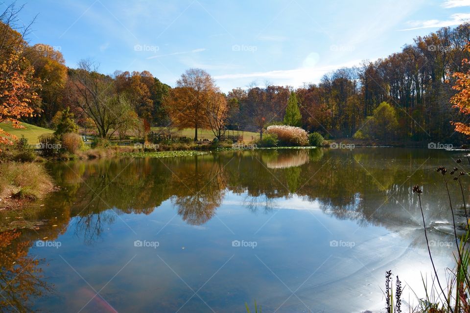 Autumn Reflection