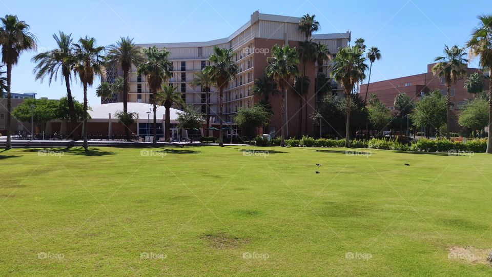 schools and universities series