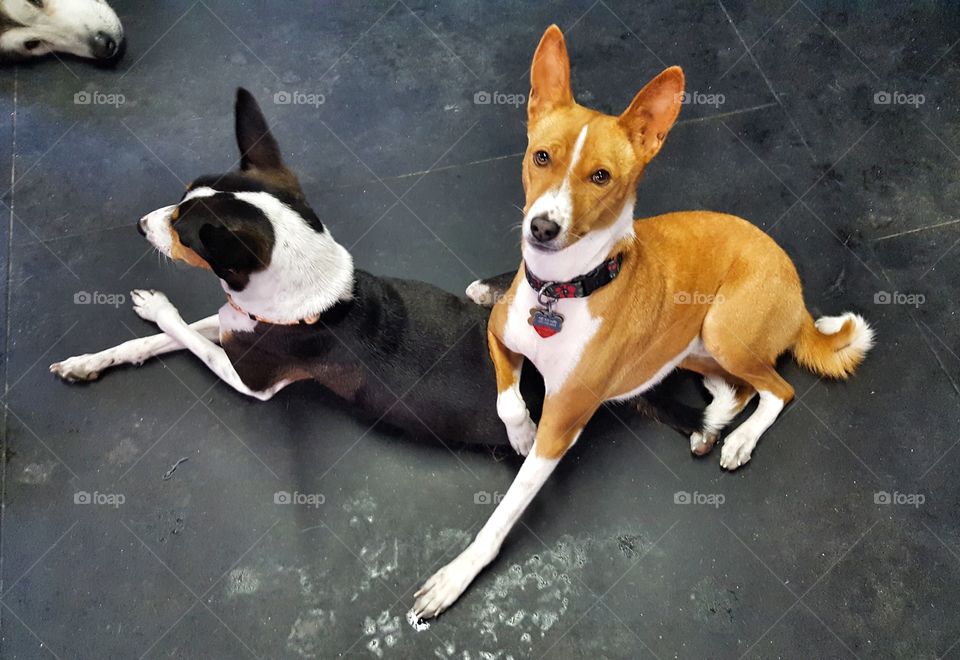 Using brother as a chair