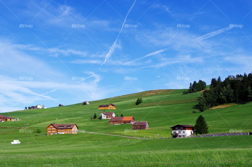 Landscape view of green pasture and houses