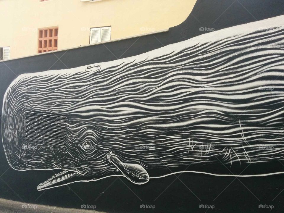 Whale on Wall. Detail. Sesimbra, Portugal