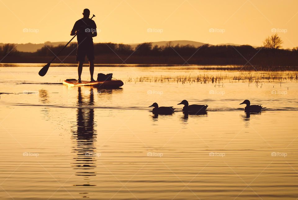 Peddle boarding at sunset