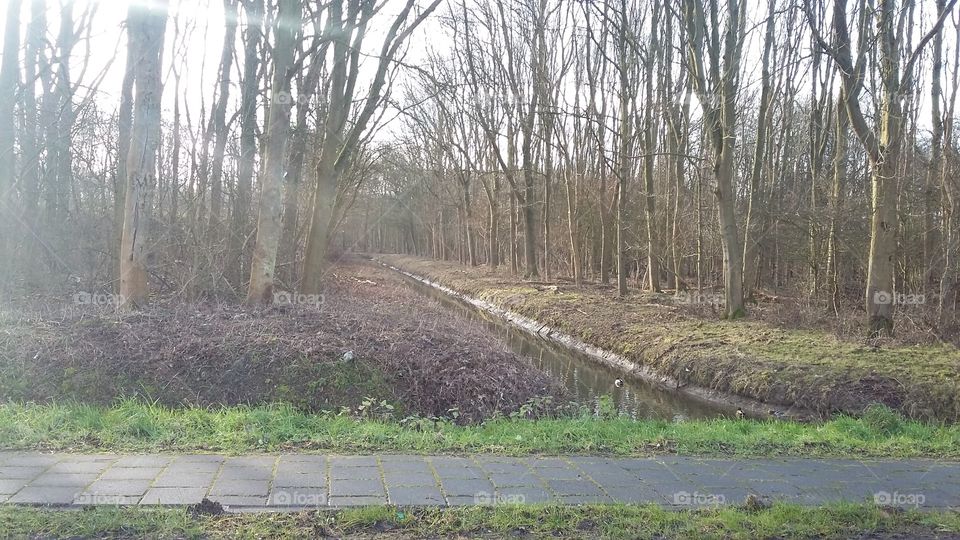 the nature in the netherlands