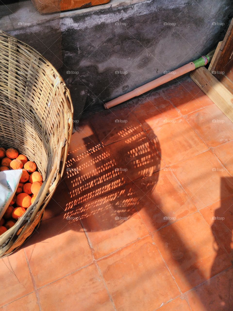 basket in the sun