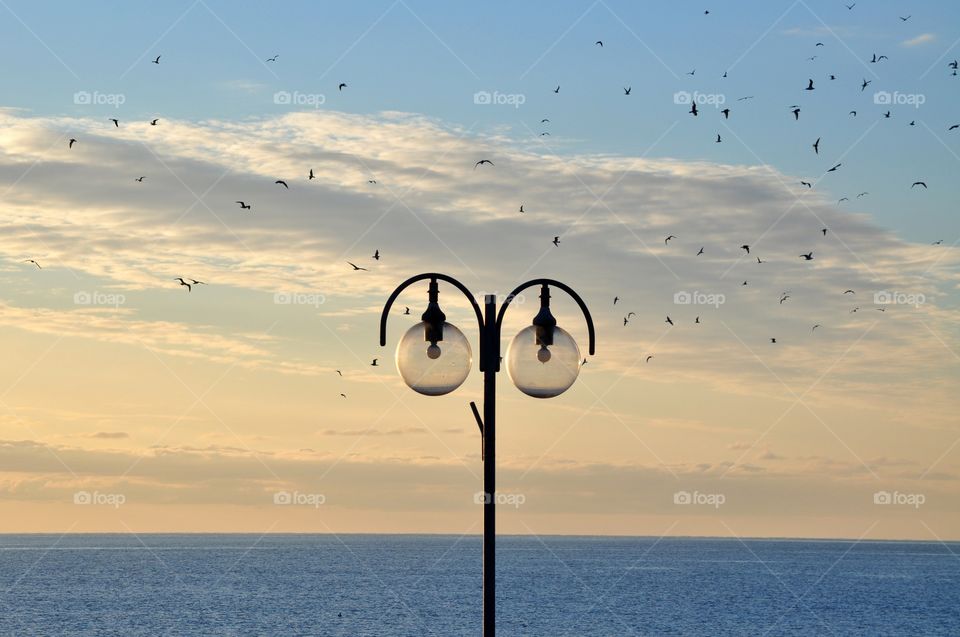 Sea, Beach, Ocean, Water, Sky