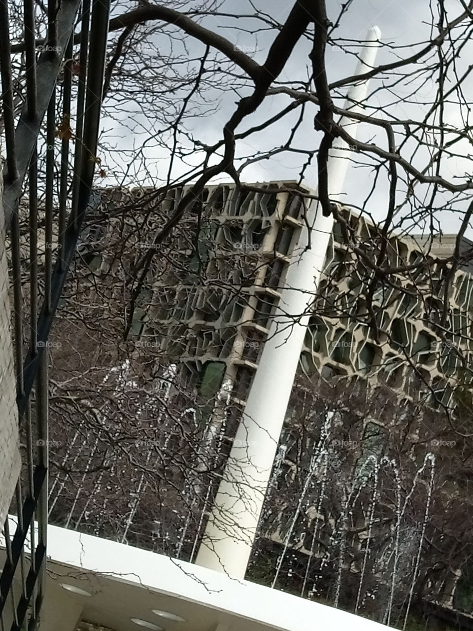 Fountain with Tree branch in foreground !
