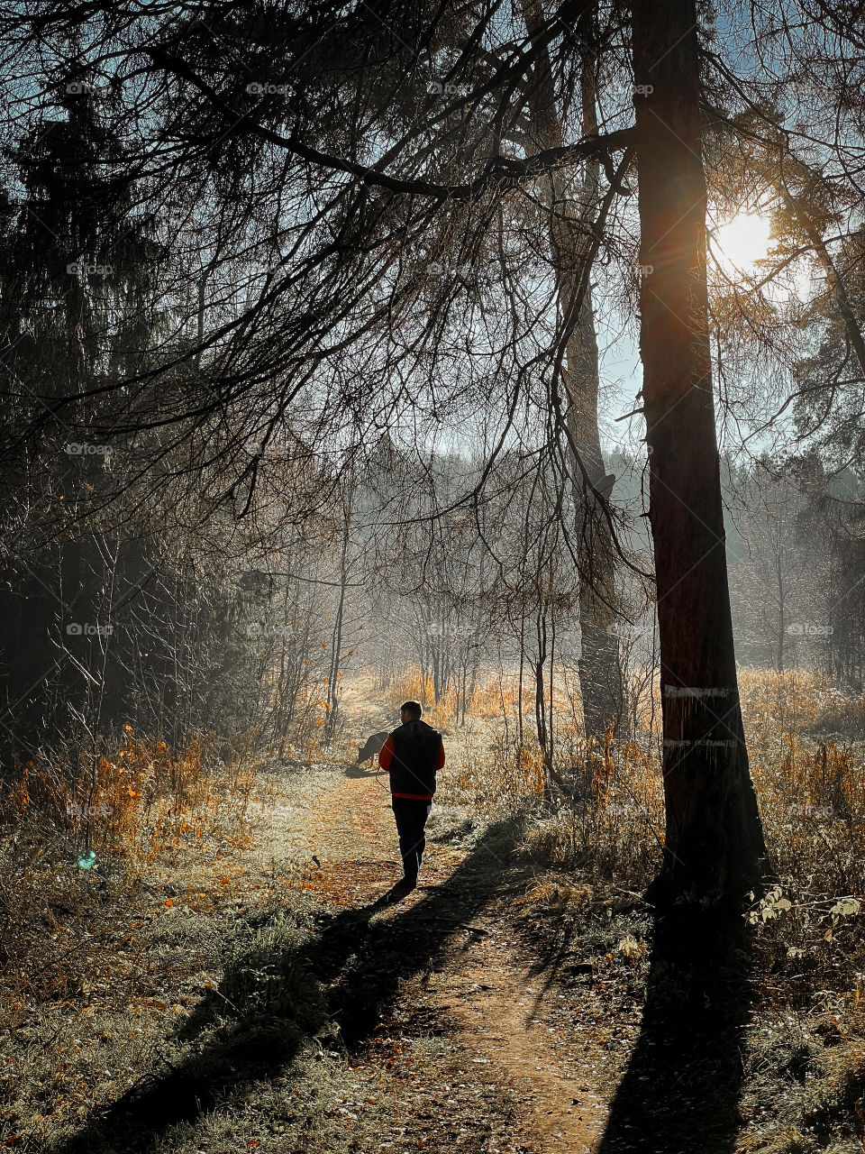 Walking with German shepherd dog in autumn forest 