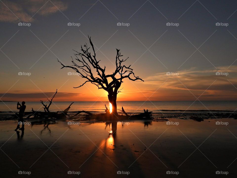 Photo of the month (June)  - Jaw-dropping prize driftwood sunrise on the beach at Driftwood Beach, Jekyll Isle. A reflection of the sun shines on the wet sand. 