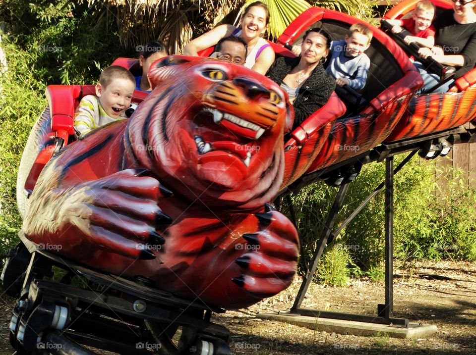 Kids On A Rollercoaster