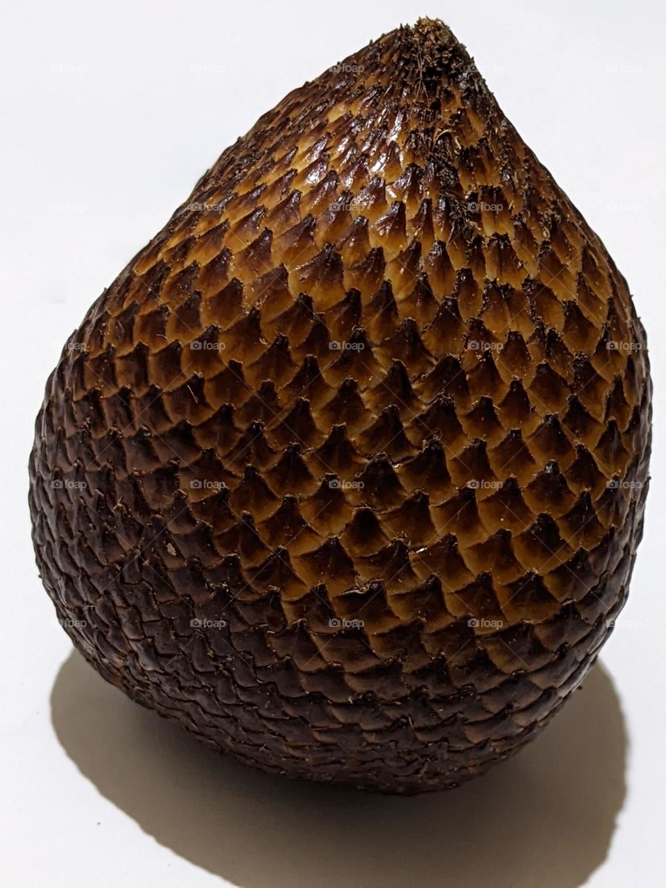 snakefruit