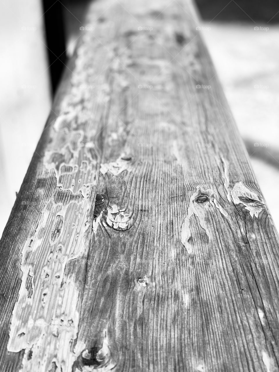 Wooden bench. The texture of wood.