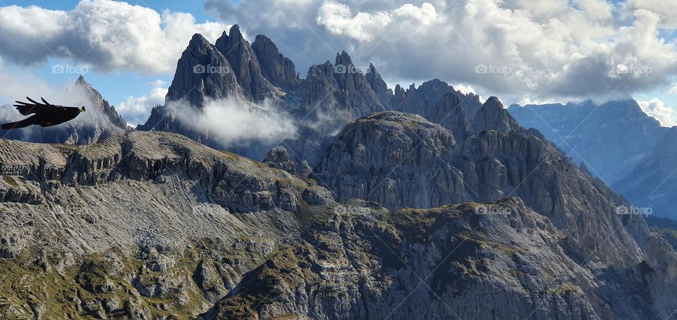 A bird flying over Dolomites