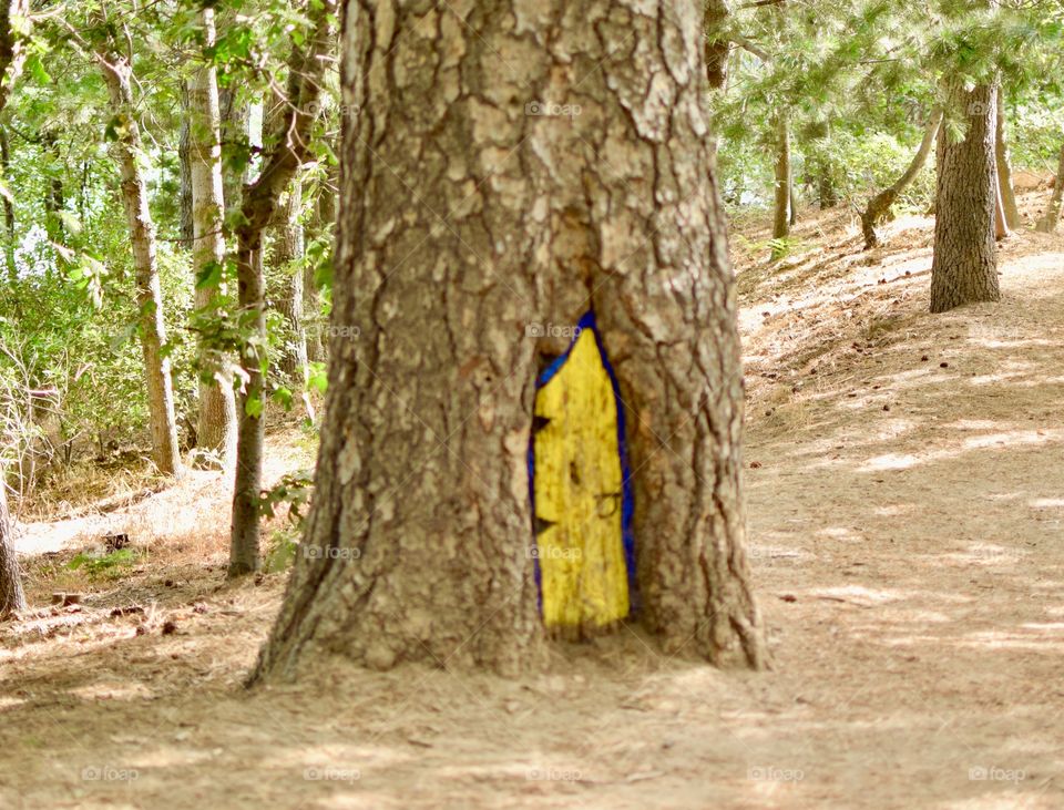 Random yellow hand painted “Fairy Door” in the woods.