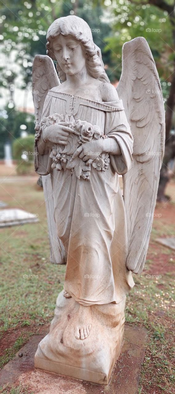 angel statue in the inscription garden museum