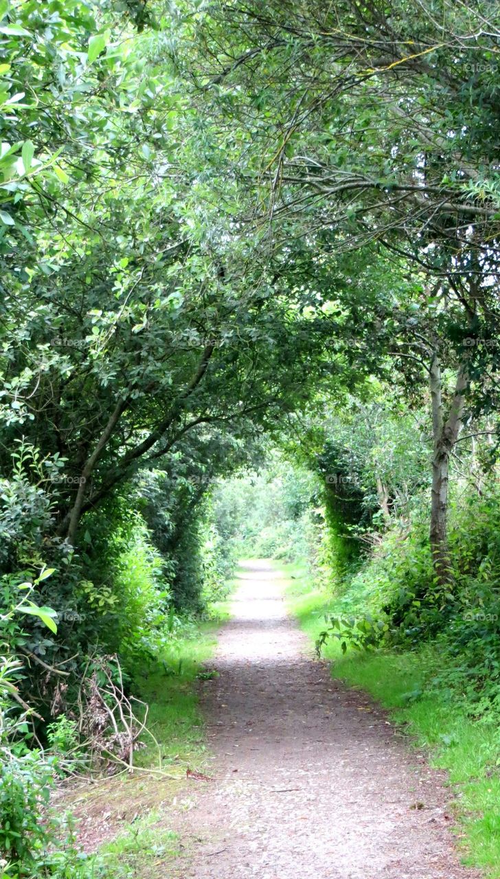 green arch