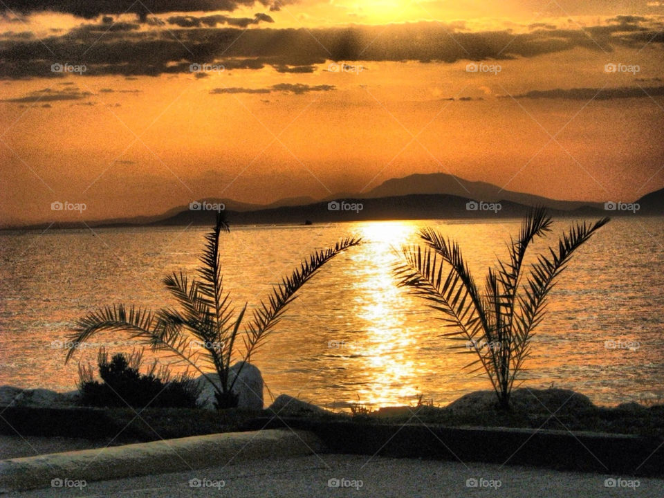 sea sunset sky plants athens by angeljack