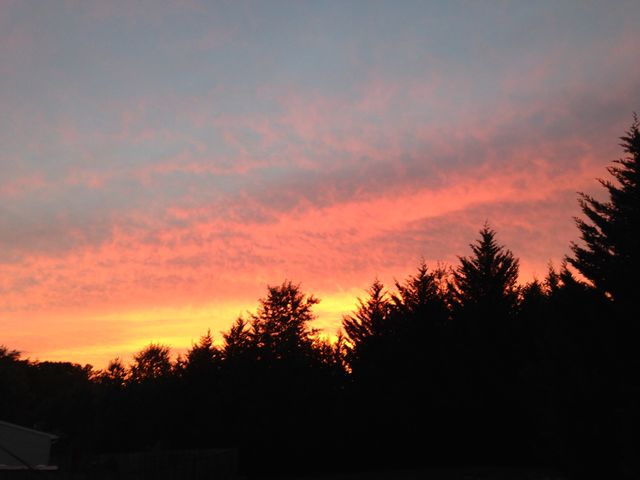Sunset in Virginia 2
