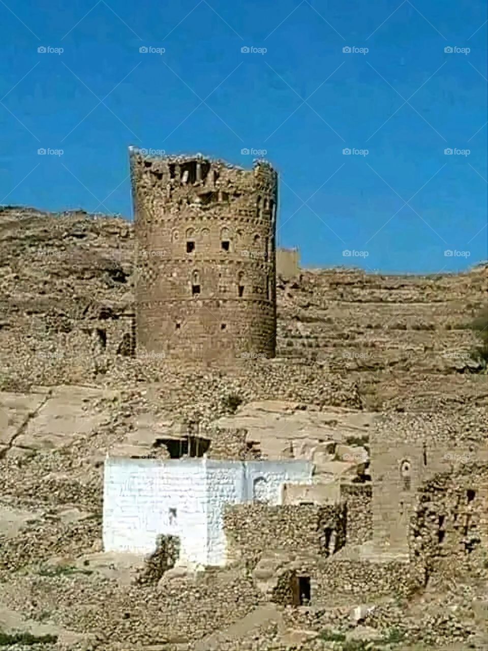 A very beautiful picture, and there is no better picture than it. There is no better picture of green herbs and colorful, red and white roses than it. Glory be to God, the natural and picturesque view, and there is no more