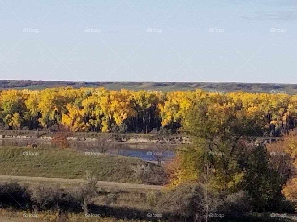 Landscape, Tree, Nature, Fall, Scenic