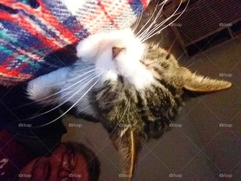 Thomas  lost him in July.