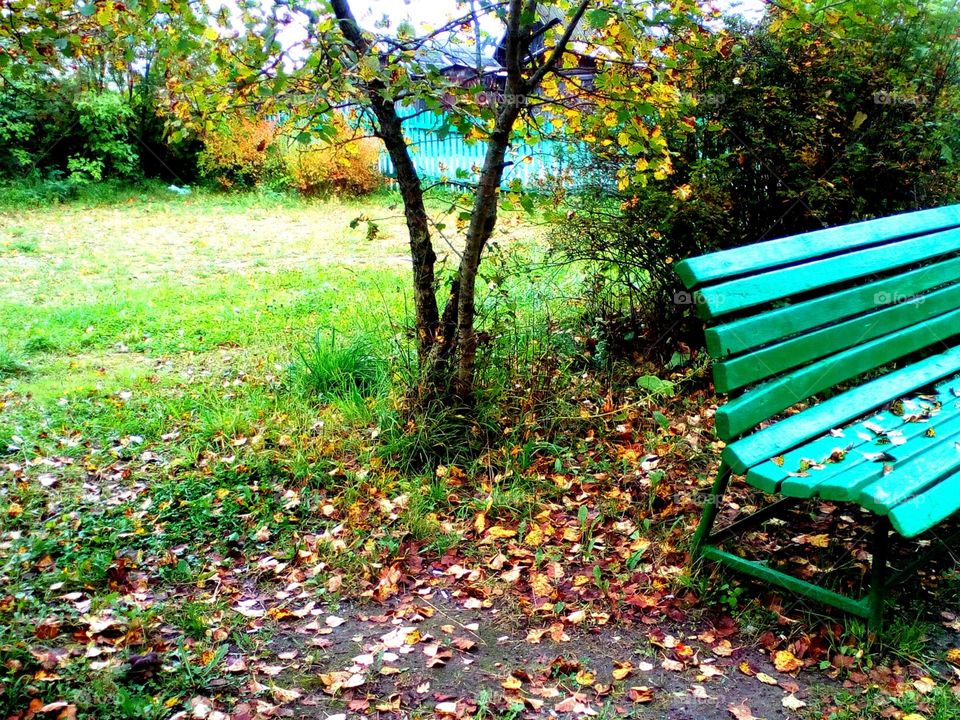 Leaf, Nature, Bench, Wood, Garden