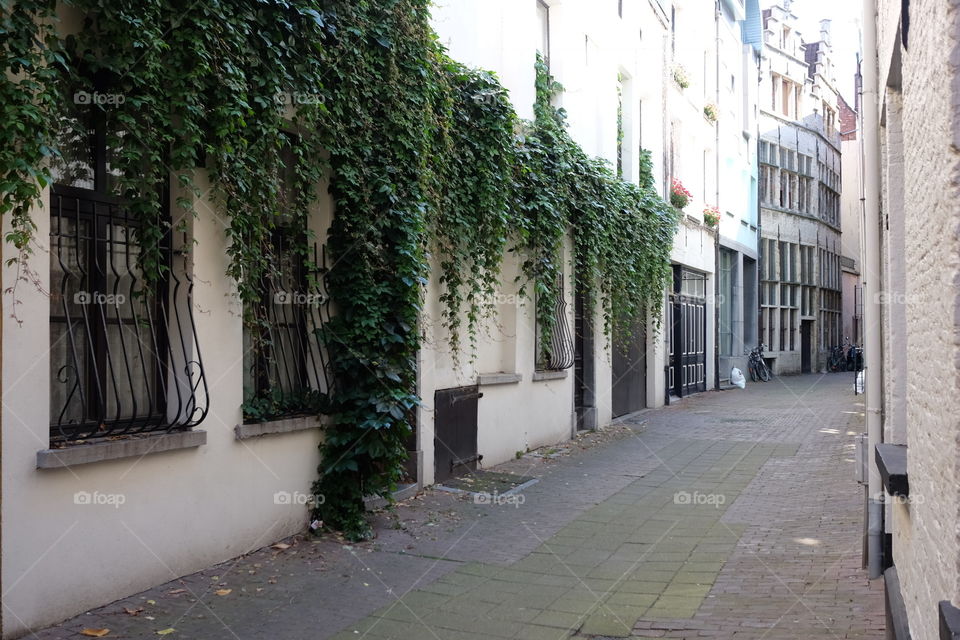 City street in Antwerp