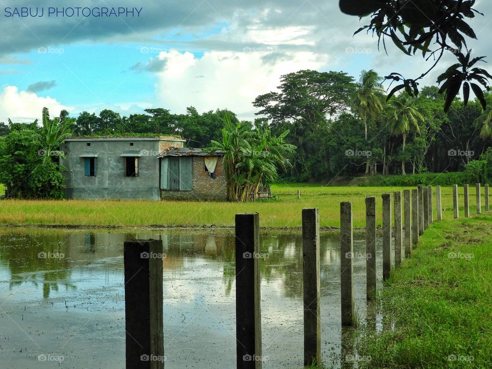 the beauty of nature